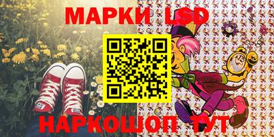 PSILOCYBIN Новокубанск