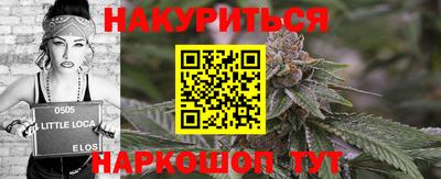 стаф Новозыбков