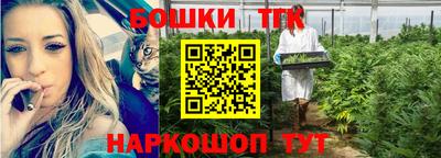 стаф Новозыбков