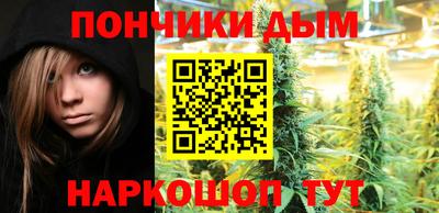 стаф Новозыбков