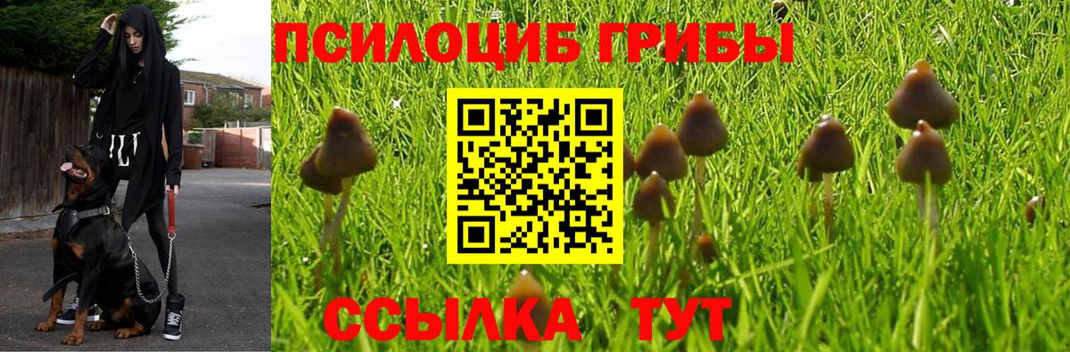 наркотики  Вход с VPN  Псилоцибиновые грибы Cubensis  Стрежевой  Псилоцибиновые грибы GOLDEN TEACHER 